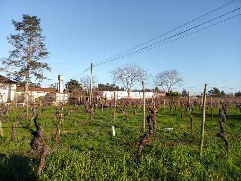Terreno para Construção