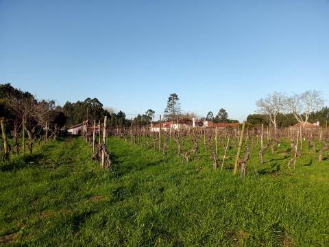 Terreno para Construção