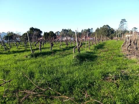 Terreno para Construção