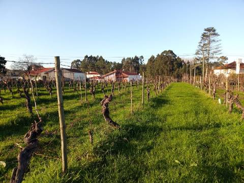Terreno para Construção