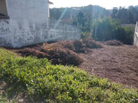 Lote para Construção