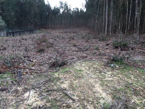 Terreno com possibilidade de construção