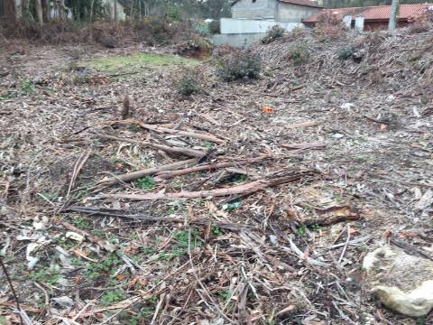 Terreno com possibilidade de construção