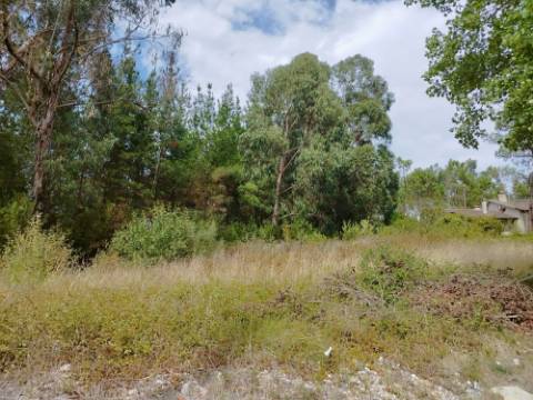 Terreno c/ Projeto Aprovado Moradia T4+1 em Vagos