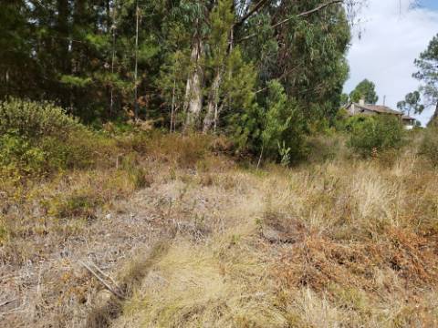 Terreno c/ Projeto Aprovado Moradia T4+1 em Vagos