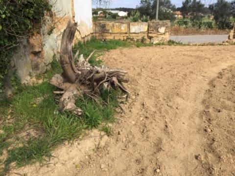 Terreno para Construção