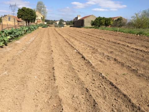 Terreno para Construção