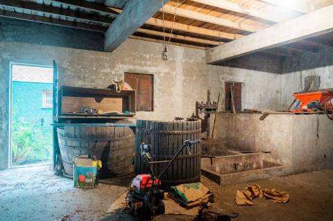 Viva com Espaço e Tradição! Moradia T5 com Adega e Quintal na Malhada de Cima - Cantanhede