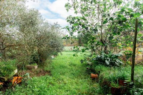 Viva com Espaço e Tradição! Moradia T5 com Adega e Quintal na Malhada de Cima - Cantanhede