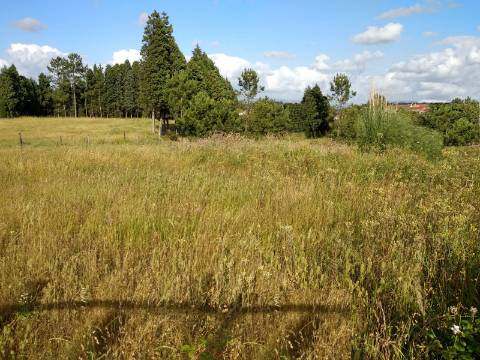 Terreno para Construção / Quinta