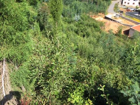 Lotes para construção de Moradia