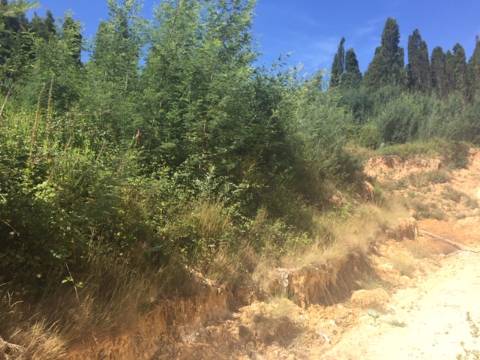 Lotes para construção de Moradia