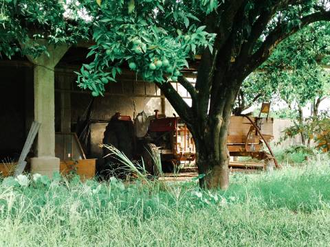 Moradia T4 com Anexos e Quintal - Cantanhede