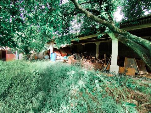 Moradia T4 com Anexos e Quintal - Cantanhede