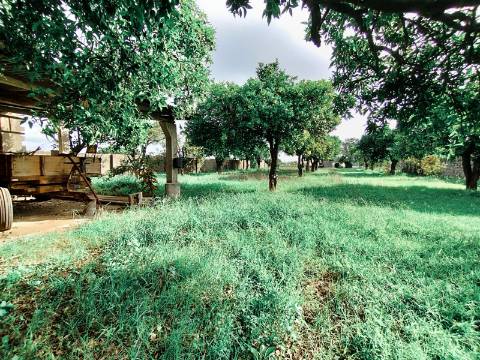 Moradia T4 com Anexos e Quintal - Cantanhede