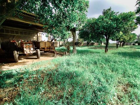 Moradia T4 com Anexos e Quintal - Cantanhede