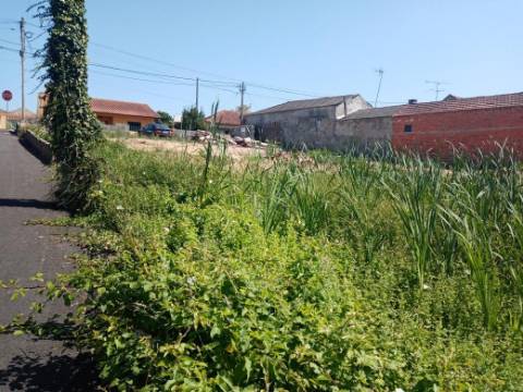 Terreno para Construção