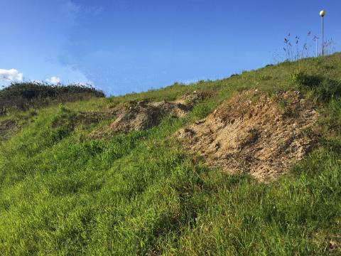 Lotes para Construção