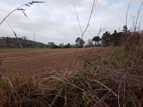 Terreno Misto para Construção