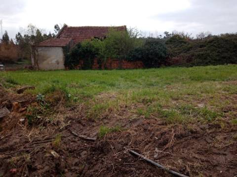 Terreno Misto para Construção