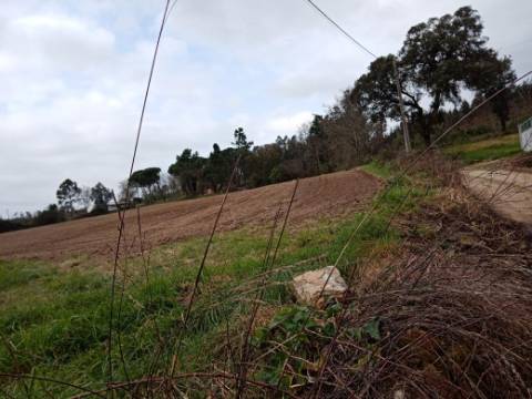 Terreno Misto para Construção