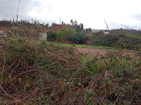 Terreno Misto para Construção