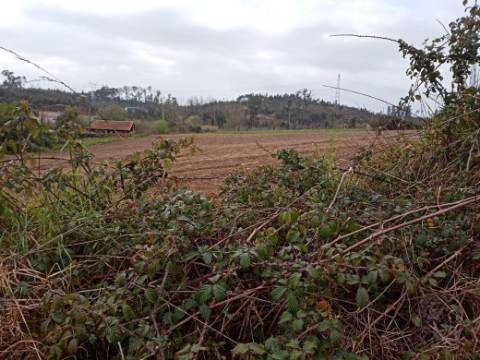 Terreno Misto para Construção