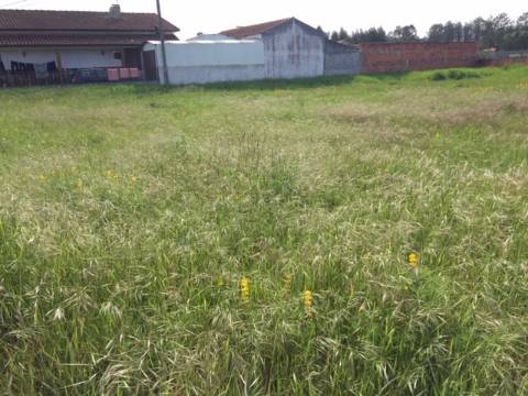 Terreno para Construção