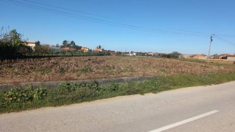 Terreno para Construção