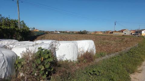 Terreno para Construção