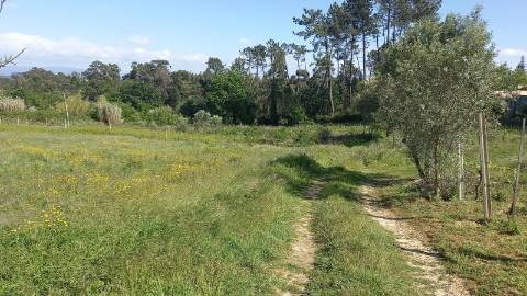 Terreno para Construção