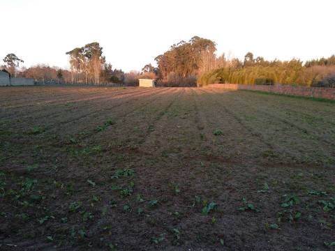 Terreno para Construção