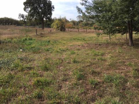 Terreno Rústico