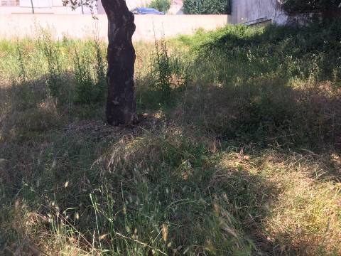 Terreno para Construção