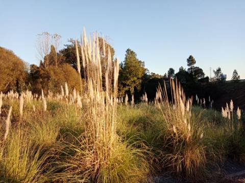 Terreno para Construção