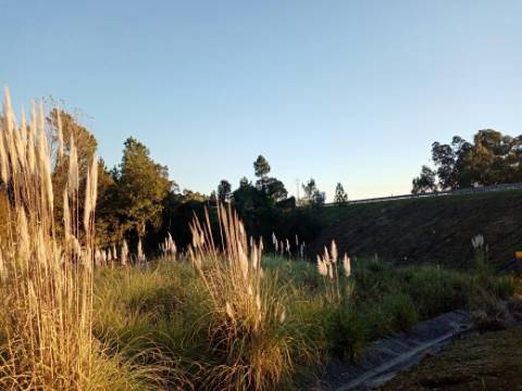 Terreno para Construção