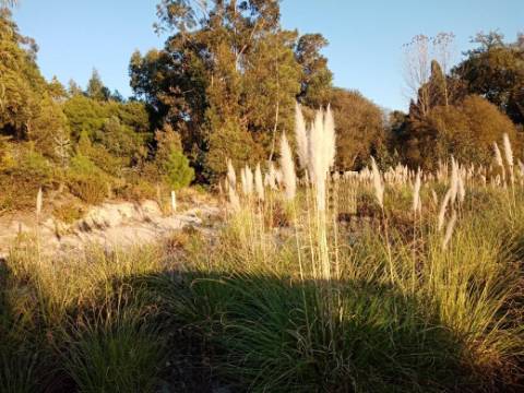 Terreno para Construção
