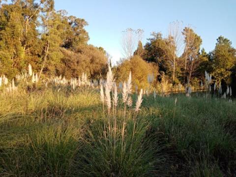 Terreno para Construção