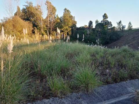 Terreno para Construção