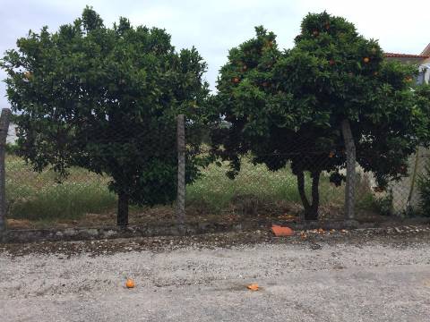 Terreno para Construção
