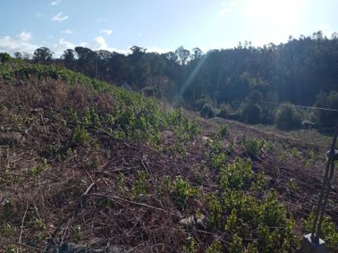 Terreno para Construção
