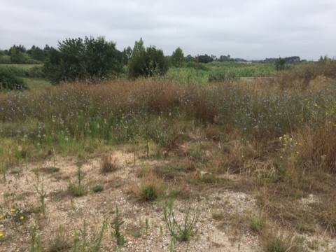 Terreno para Construção de moradia