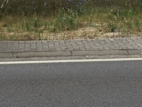 Terreno para Construção de moradia