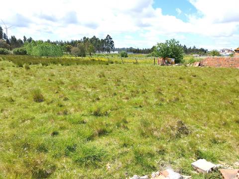 Terreno para Construção com 53 mts de frente - Povoa do Valado - Aveiro