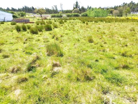 Terreno para Construção com 53 mts de frente - Povoa do Valado - Aveiro