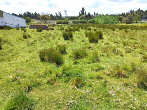 Terreno para Construção com 53 mts de frente - Povoa do Valado - Aveiro