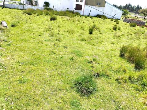 Terreno para Construção com 53 mts de frente - Povoa do Valado - Aveiro