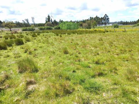 Terreno para Construção com 53 mts de frente - Povoa do Valado - Aveiro