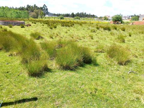 Terreno para Construção com 53 mts de frente - Povoa do Valado - Aveiro