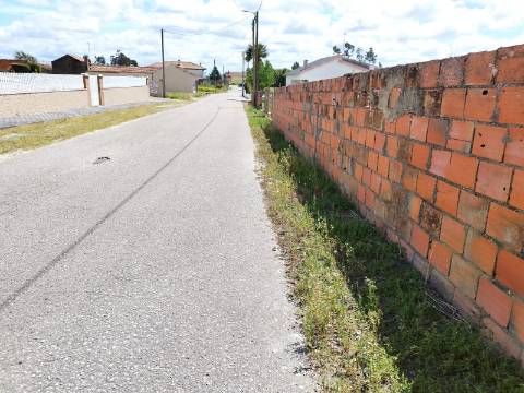 Terreno para Construção com 53 mts de frente - Povoa do Valado - Aveiro